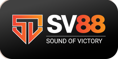 datapace.io - sv88 logo