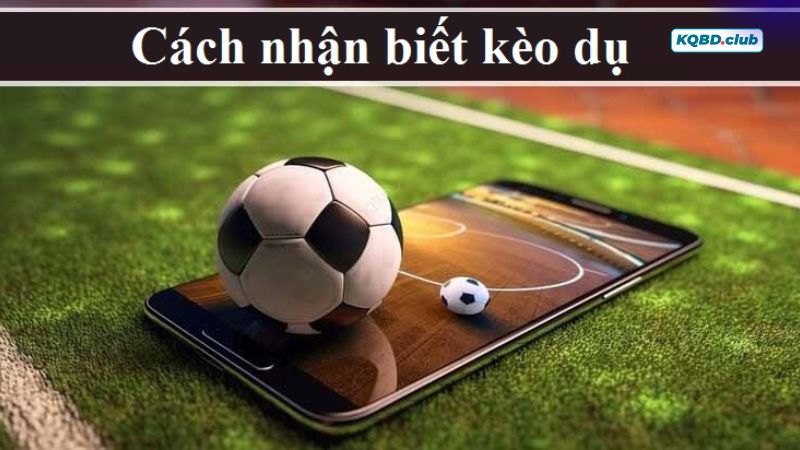 Cách nhận biết kèo dụ đơn giản, hiệu quả từ chuyên gia